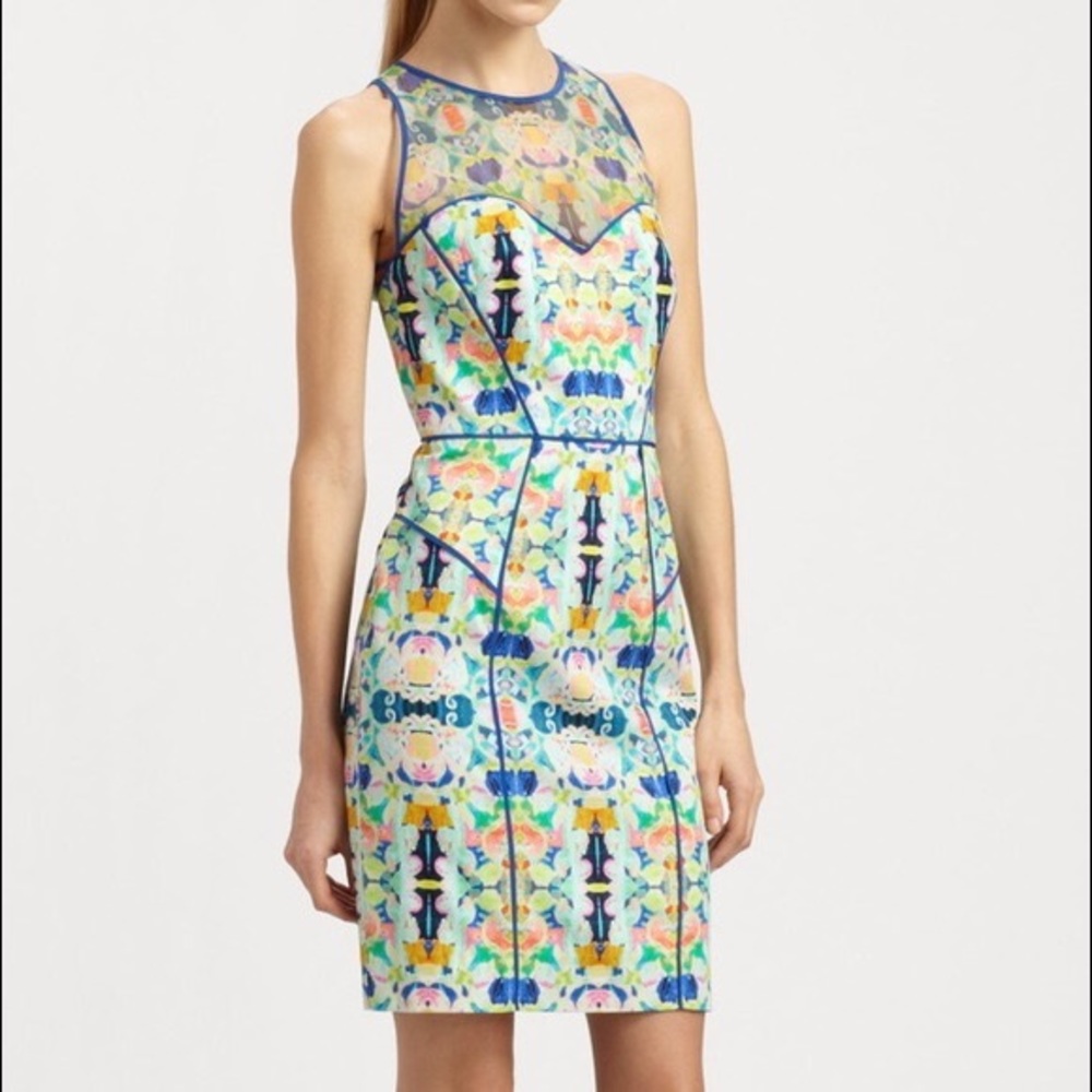 Milly dress multicolor